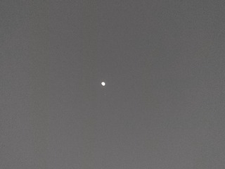 1000033067
