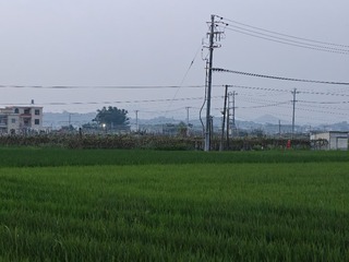 1000024356