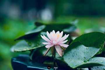 001