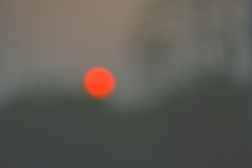 1000045480