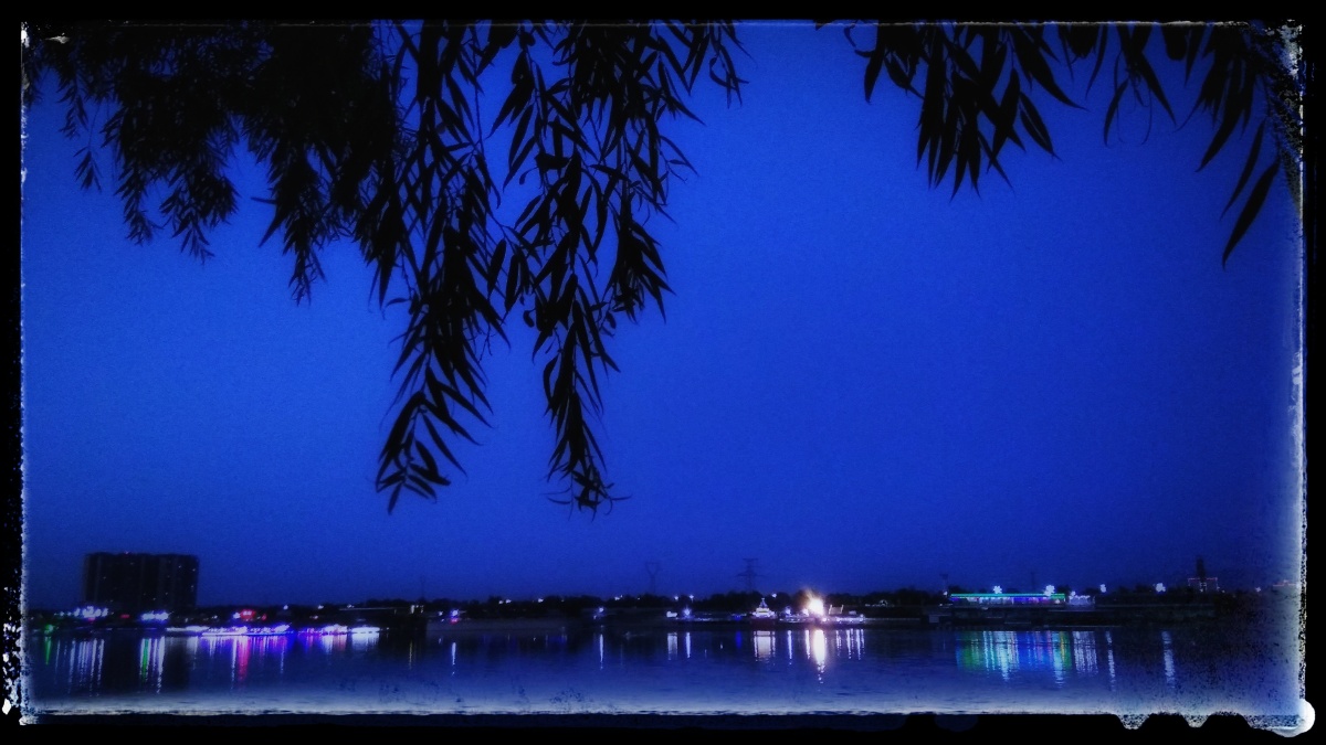 夏夜的风最是温柔