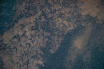 1000041098