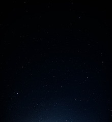 1000041558