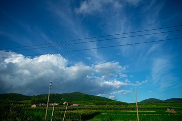 1000041559