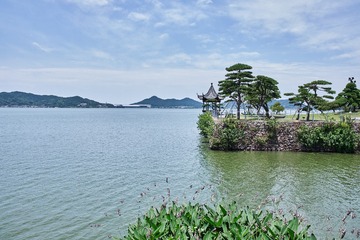 9050