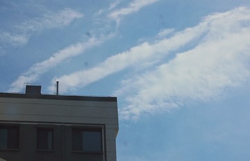 1000044564