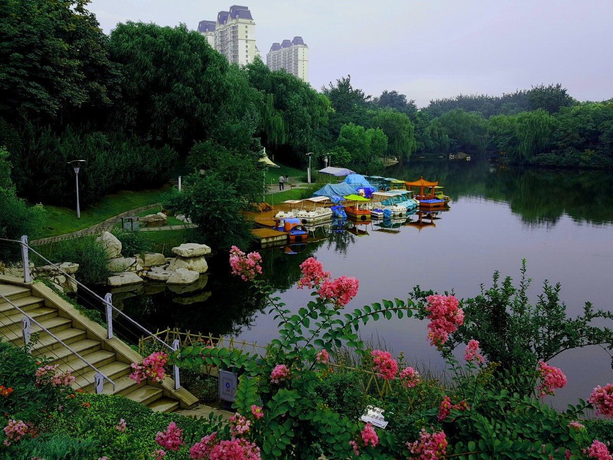 武安白鹤公园即景