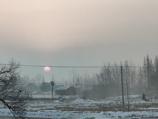 1000016958