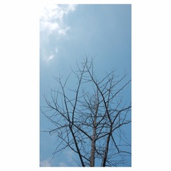4BBCE8B7-CB9C-4FA0-A358-6B63F5DB83E7/L0/001