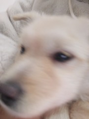 1737111