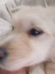 1737112