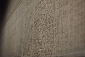 1000037391