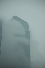 1000061761