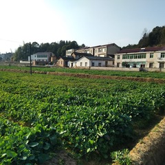 760245