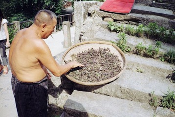 晒