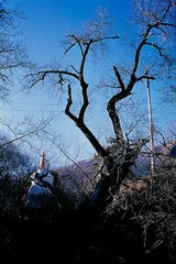 20120109-Untitled-25.jpg
