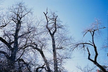 20120109-Untitled-26.jpg