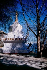 20120109-Untitled-20.jpg