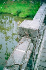 禅 缠