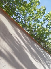 2532506
