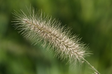 1000046653