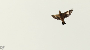20121129-IMG_7469.jpg