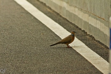 20121129-IMG_7643.jpg