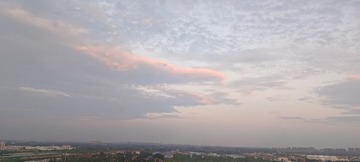 1000029142