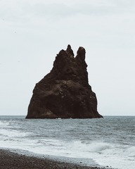 1000060419