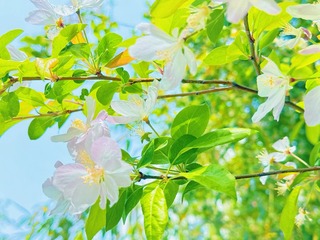 001