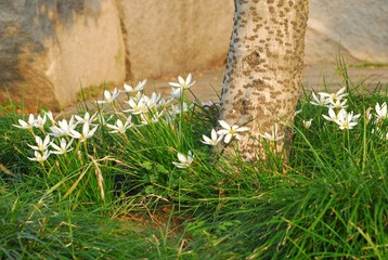 976_1044.JPG