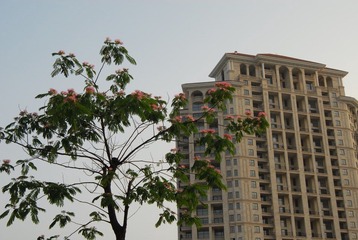 976_0234.JPG