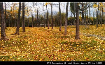 IMAG0026.jpg