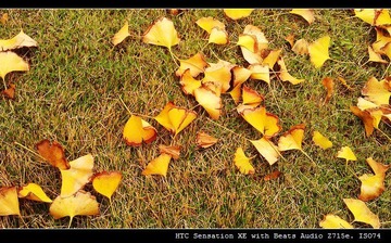 IMAG0027.jpg