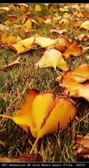 IMAG0028.jpg