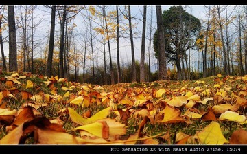 IMAG0029.jpg