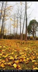 IMAG0030.jpg