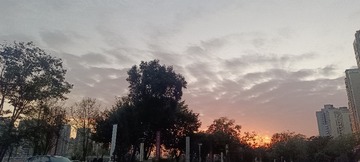 1000049240