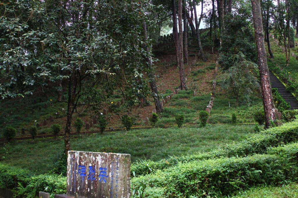墓地