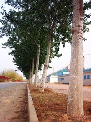 20140412_164538