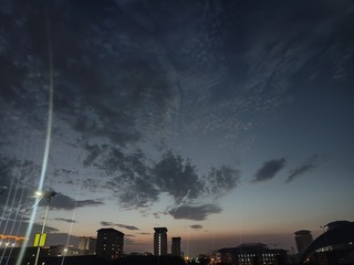 1000008805