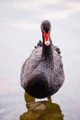 82898B4D-B5B5-4390-B2CF-1B5BE61AA81C/L0/001