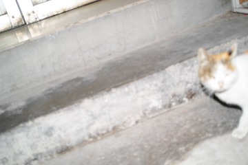 SDIM0171
