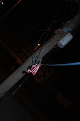 SDIM0260
