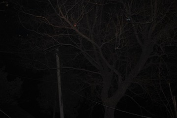 SDIM0117