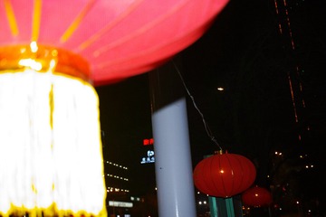 SDIM0131