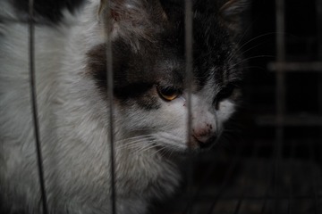 SDIM0123