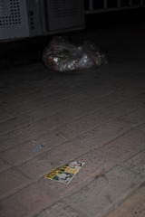 SDIM0199