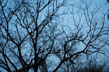 SDIM0085