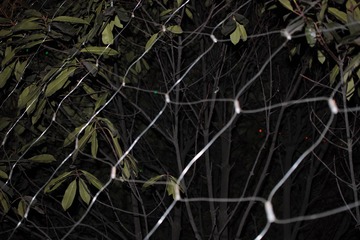 SDIM0132